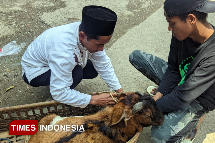 Apakah Sah Berkurban Tapi Belum Akikah? Simak Telaah Fikihnya