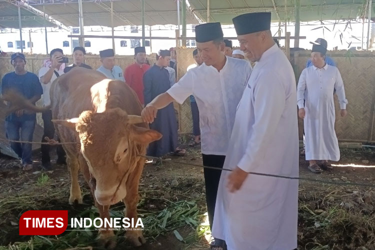 Pengasuh Ponpes Al Islah Bondowoso KH. Thoha Yusuf Zakariya dan Kapolres Bondowoso AKBP Harto Agung Cahyono saat meninjau langsung hewan kurban sesaat sebelum dipotong (FOTO: Moh Bahri/TIMES Indonesia)
