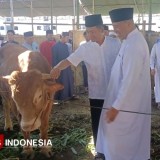 Ponpes Al Islah Bondowoso Potong 1.161 Hewan Kurban, Presiden Prabowo Sumbang Dua Sapi