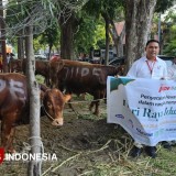 Warga Sekitar JIIPE Gresik Rasakan Berkah Kurban di Hari Raya Idul Adha