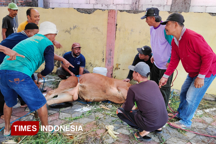 Takmir Masjid Al-Hidayah Sidoarjo Bagikan Daging Kurban untuk Semua Warga, Termasuk Perantau dan Anak Kos