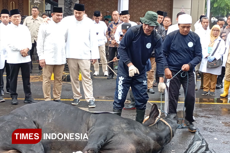 Kementerian PKP Maruarar Sirait Salurkan 10 Ekor Sapi Kurban
