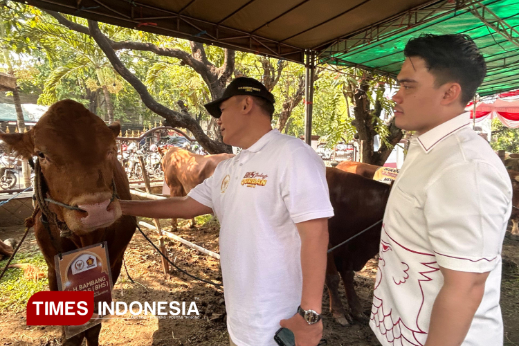 Gerindra Surabaya Kurban 8 Ekor Sapi, Ada Sumbangan BHS dan Wali Kota Eri Cahyadi