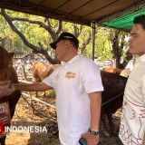 Gerindra Surabaya Kurban 8 Ekor Sapi, Ada Sumbangan BHS dan Wali Kota Eri Cahyadi
