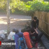 Gunung Raung Erupsi Tiga Hari Berturut, Pendaki Diminta Putar Balik