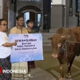 Wapres Gibran Kirim Sapi Limosin ke Pondok Tremas Pacitan, KH Luqman: Udhiyyah Maqbulah