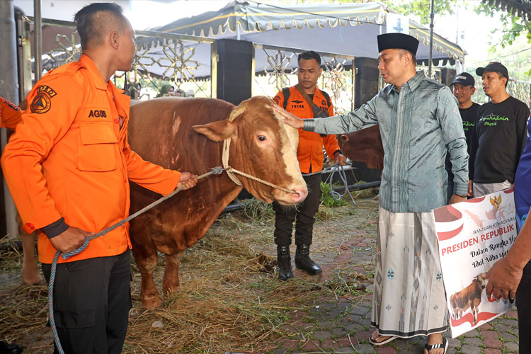 Wali Kota Surabaya Eri Cahyadi saat menyerah langsung sapi kurban bantuan Presiden Prabowo Subianto. (Foto: Humas Pemkot Surabaya)