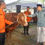 Surabaya Dapat Jatah Bantuan Sapi Kurban dari Presiden, Eri Cahyadi Pantau Langsung Penyembelihan