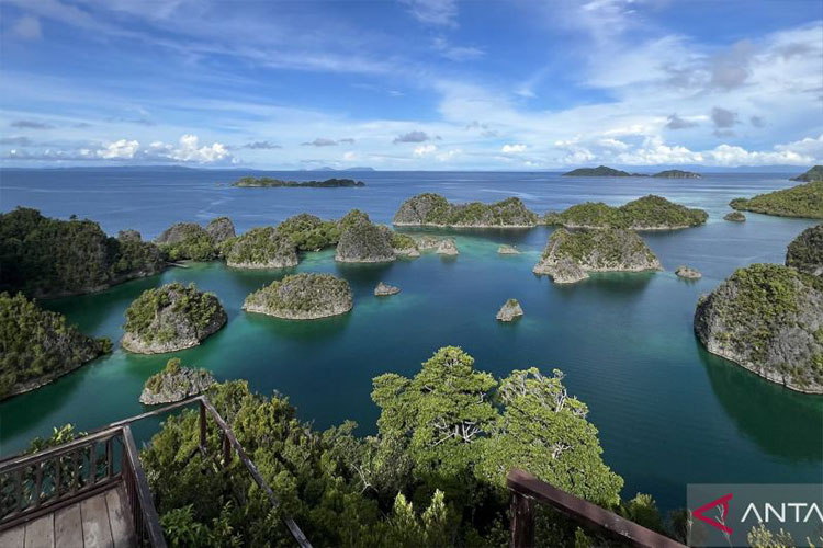 Bentang alam Pulau Piaynemo yang berlokasi di Kabupaten Raja Ampat, Papua Barat Daya, Sabtu (7/6/2025). (Foto: Antara/Putu Indah Savitri)