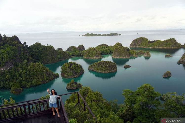 MITI Desak Pemerintah Tindak Tambang Nikel Perusak Raja Ampat