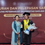 Lulusan Tercepat IUP Fapet UGM, Bidadari Kalila Artadhya Angkat Isu Kesejahteraan Hewan