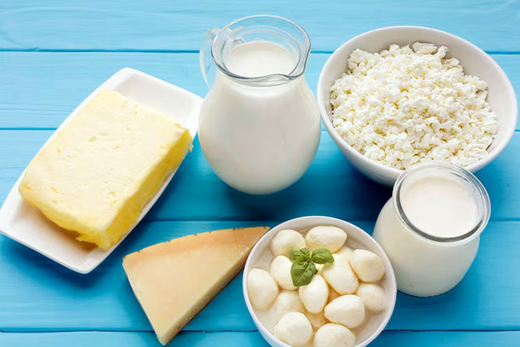 Ilustrasi. Beragam manfaat yogurt dan keju. (Foto: Freepik)