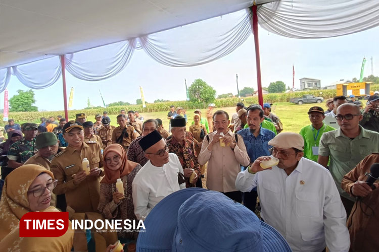 Jagung Rekayasa Genetik di Banyubang Lamongan Halal 100 Persen, Tak Perlu Sertifikat