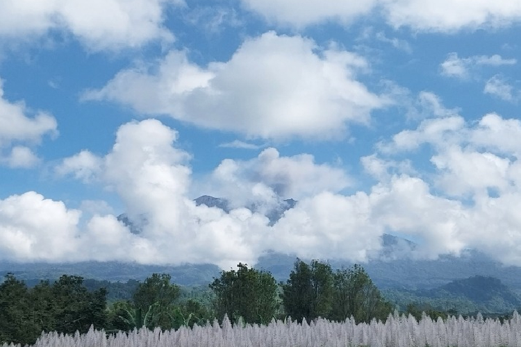 Gunung Raung Kembali Erupsi, Muntahan Kolom Abu Vulkanik Capai 750 Meter