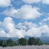 Gunung Raung Kembali Erupsi, Muntahan Kolom Abu Vulkanik Capai 750 Meter