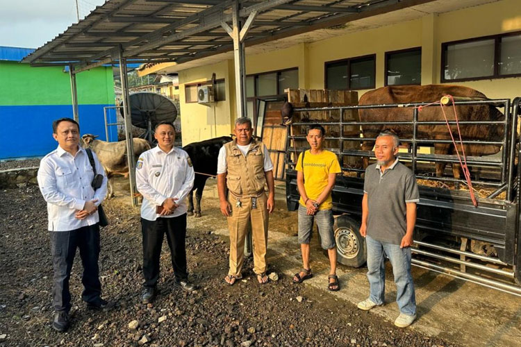 BCE Berikan 3 Sapi ke Warga Jampangtengah. (FOTO: dok. BCE)