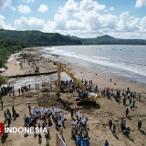 Rayakan Hari Lingkungan Hidup, PJT I Tebar Bibit Pohon dan Bersihkan Pantai