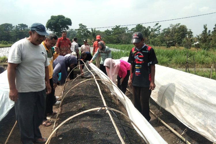 Bimtek Petani Tembakau, Buka Peluang Diversifikasi Usaha yang Menguntungkan