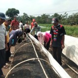 Bimtek Petani Tembakau, Buka Peluang Diversifikasi Usaha yang Menguntungkan