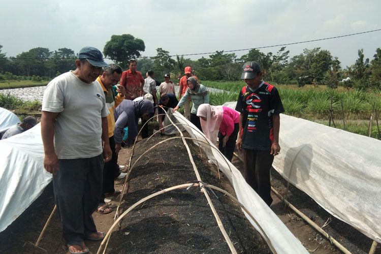 Bimtek Petani Tembakau, Buka Peluang Diversifikasi Usaha yang Menguntungkan