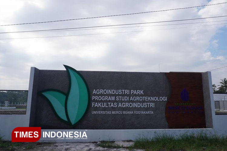 Kebun Percobaan Agroindustri Park Program Studi Agroteknologi Fakultas Agroindustri UMBY yang berada di kawasan Sedayu, Kabupaten Bantul. (FOTO: AJP TIMES Indonesia)