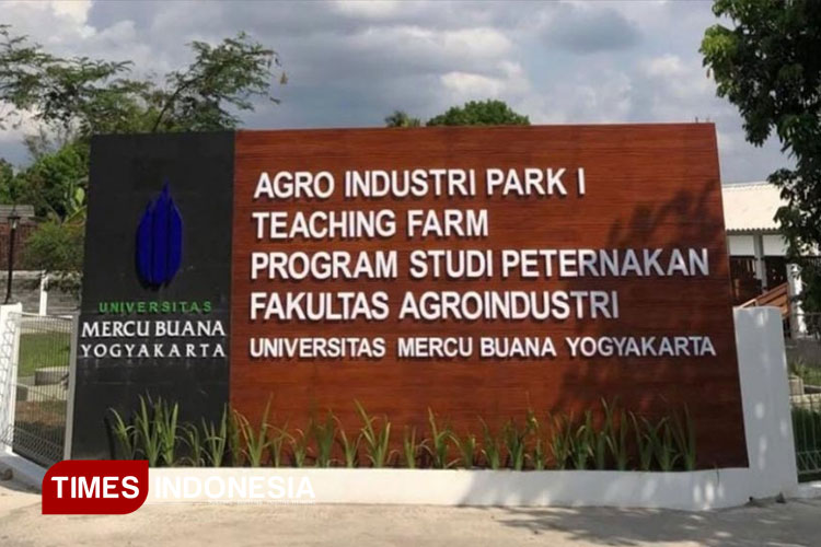 Agroindustri Park Teaching Farm Prodi Peternakan Fakultas Agroindustri UMBY (FOTO: AJP TIMES Indonesia)