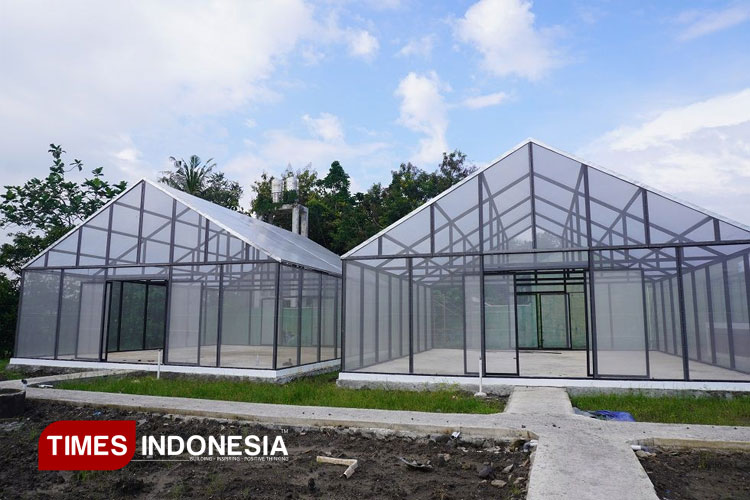 Kebun-Agroindustri.jpg