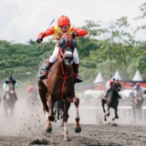 131 Kuda Siap Berlaga di IHR Cup 2025 di Bantul, Perebutkan Hadiah Lebih dari Rp400 Juta
