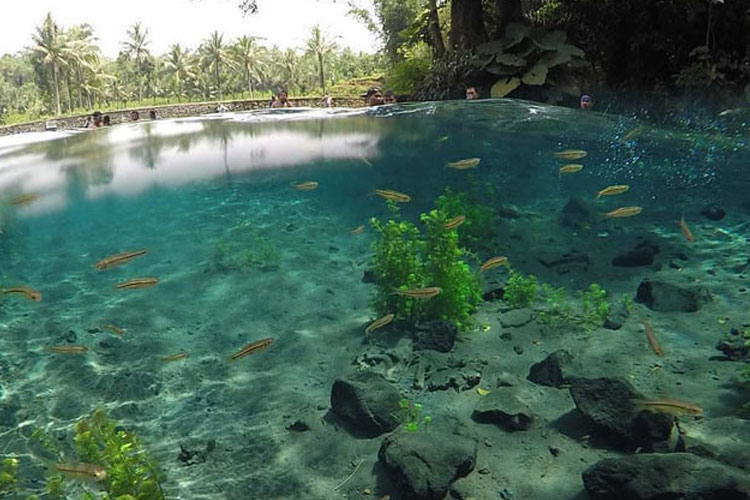 Panorama air kolam yang begitu jernih dari sumber mata air di Wisata Sumber Jenon Tajinan, Kabupaten Malang. (Foto: dok. TIMES Indonesia)