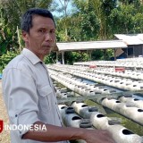 Belajar dari Basiri, Manfaatkan Lahan 4 Ribu M2 untuk Bengkel Pertanian Ramah Lingkungan