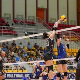 AVC Nations Cup 2025, Timnas Voli Putri Sukses Sikat Hongkong