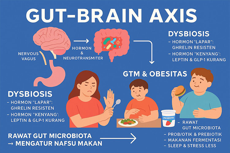 Gut-Brain-Axis.jpg
