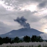 10 Hari Gunung Raung Bondowoso Erupsi, Kolom Abu Capai 1.500 Meter