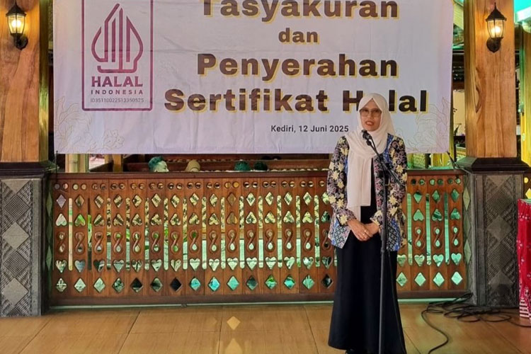 Unisma-2.jpg