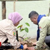 Kolaborasi Wanapala Tasikmalaya Lestarikan Cagar Geologi Peninggalan Zaman Purba