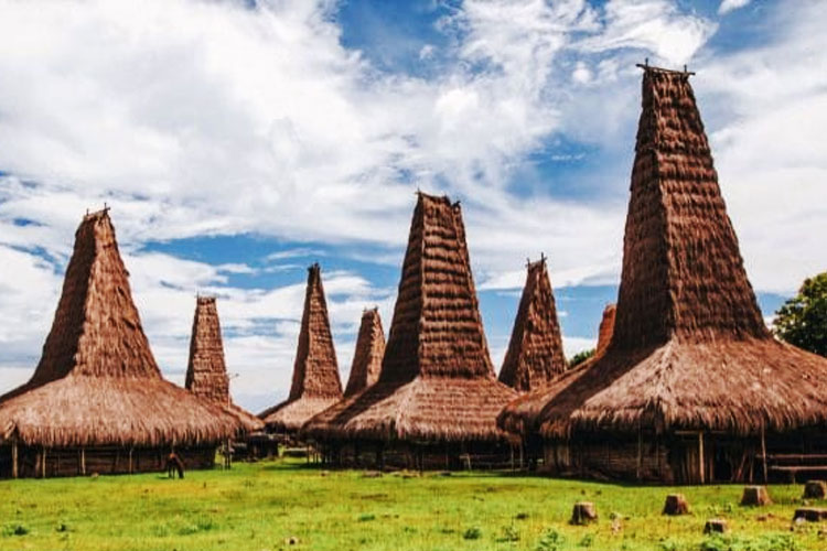 Makna Budaya dan Spiritual di Balik Rumah Adat Sumba