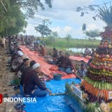Warga Gresik Berebut Gunungan Berisi Hasil Bumi, Wujud Syukur atas Panen Melimpah