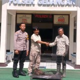 Terjerat Jaring di JLS, Satwa Dilindungi Elang Ular Bido Kini Diserahkan kepada BBKSDA Jatim