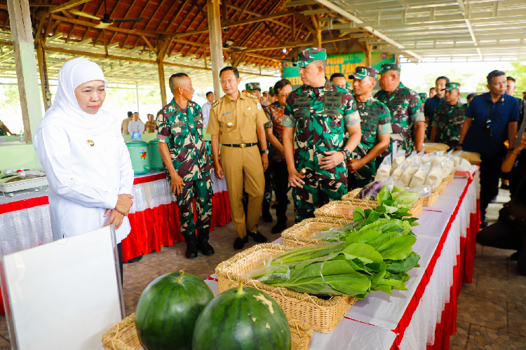 Gubernur-Khofifah-saat-panen-padi-di-Kampung-Pandu-bersama-Pangdam-V-Brawijaya-c.jpg