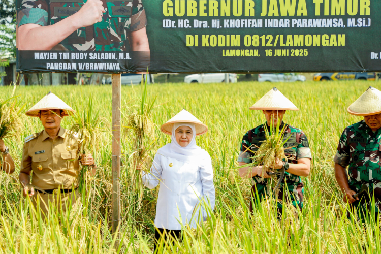 Gubernur Khofifah Siap Replikasi Integrated Farming Kodim Lamongan