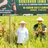 Gubernur Khofifah Siap Replikasi Integrated Farming Kodim Lamongan