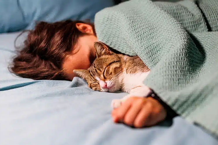 Tidur bersama kucing atau anjing terlihat asyik dan nyaman. Namun hewan berbulu ini justru berpotensi memicu gangguan tidur.gangguan tidur karena kehadiran hewan peliharaan di ranjang.