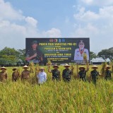 Pangdam V Brawijaya Pimpin Panen Raya dan Tinjau Kawasan Pertanian Terpadu Lamongan