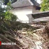 Pohon Keramat Usia 1000 Tahun di Makam Syekh Brubuh Pacitan Tumbang Dihantam Badai