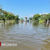 Masuk Peralihan Musim, BNPB Ingatkan Daerah Rawan Banjir untuk Waspada