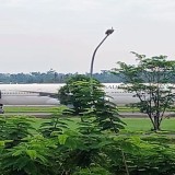 Pesawat Saudi Airlines Mendarat Darurat di Kualanamu Akibat Ancaman Bom