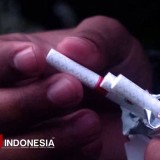 Kemenkes RI Tegaskan Pentingnya Pengendalian Konsumsi Rokok dalam Penurunan Stunting