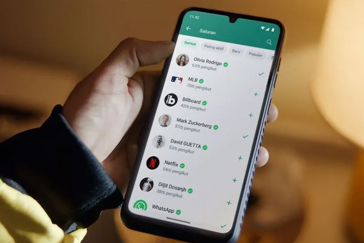 WhatsApp menyebutkan bahwa iklan akan ditargetkan kepada pengguna berdasarkan sejumlah informasi seperti usia, lokasi (negara atau kota), bahasa yang digunakan.