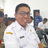 Dinas PPO Sumba Timur Undang Seleksi BCKS, Ini Syarat dan Kriteria yang Wajib Diketahui