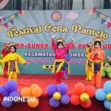 Festival Ceria Pamelo PKG Sukomoro Magetan, Penuh Kreasi dan Kegembiraan